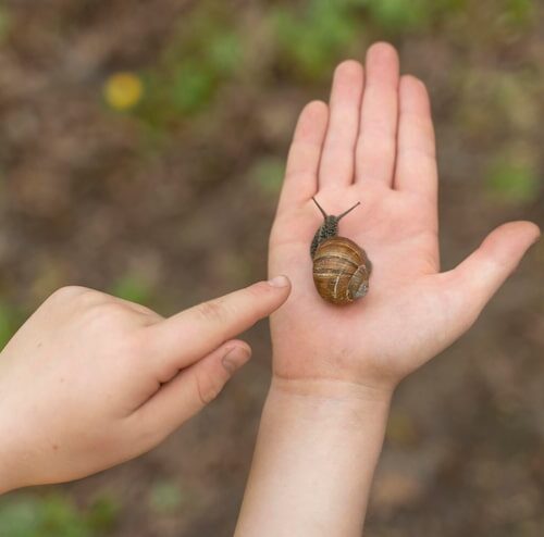 Jak wygląda pupa dziecka