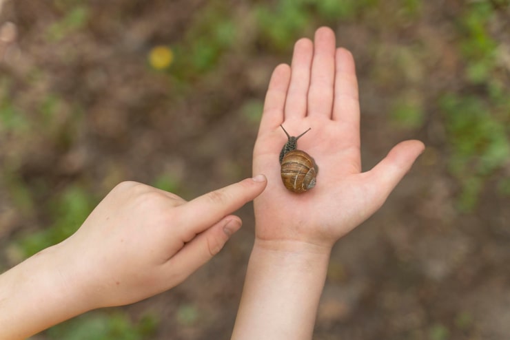 Jak wygląda pupa dziecka