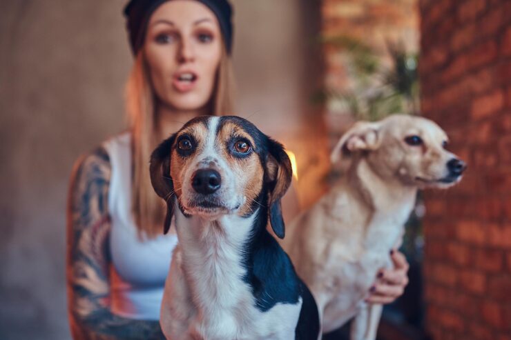 Czemu psy tarzały się w kupie?