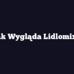 Jak Wygląda Lidlomix?