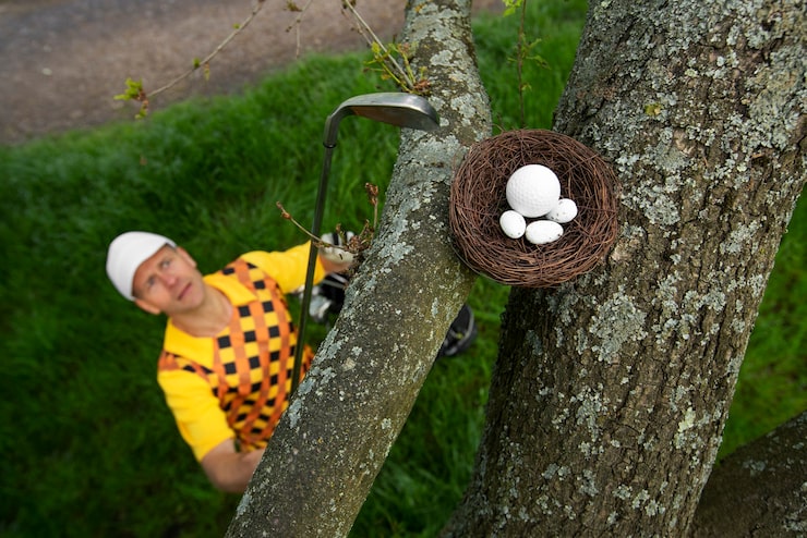 Co zrobić, jak ptak wypadnie z gniazda?