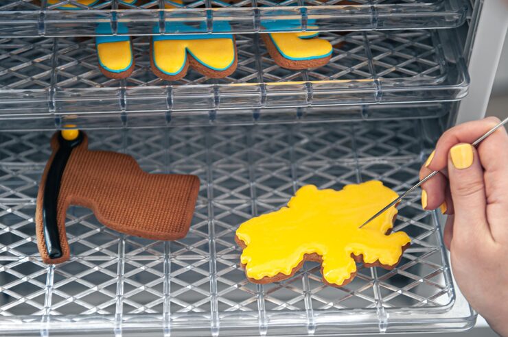 Sterylizacja Suki Jak Wygląda?