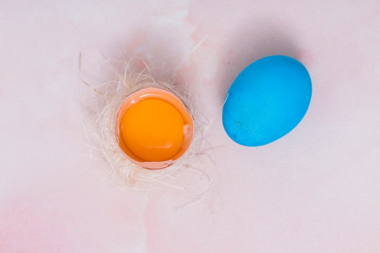 Jak wyglądają jaja pcheł