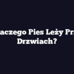 Dlaczego Pies Leży Przy Drzwiach?