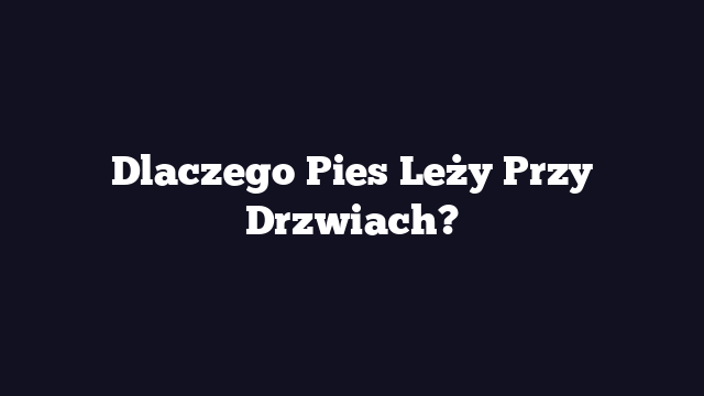 Dlaczego Pies Leży Przy Drzwiach?